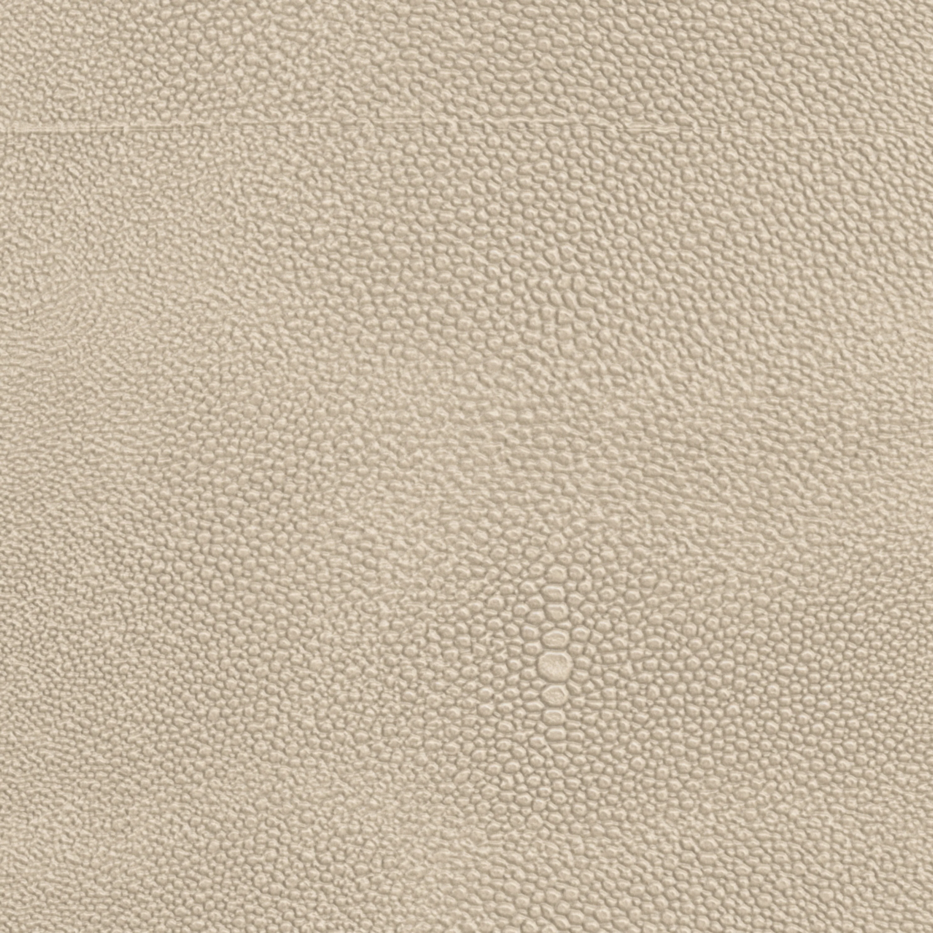 Sabot - Image 7