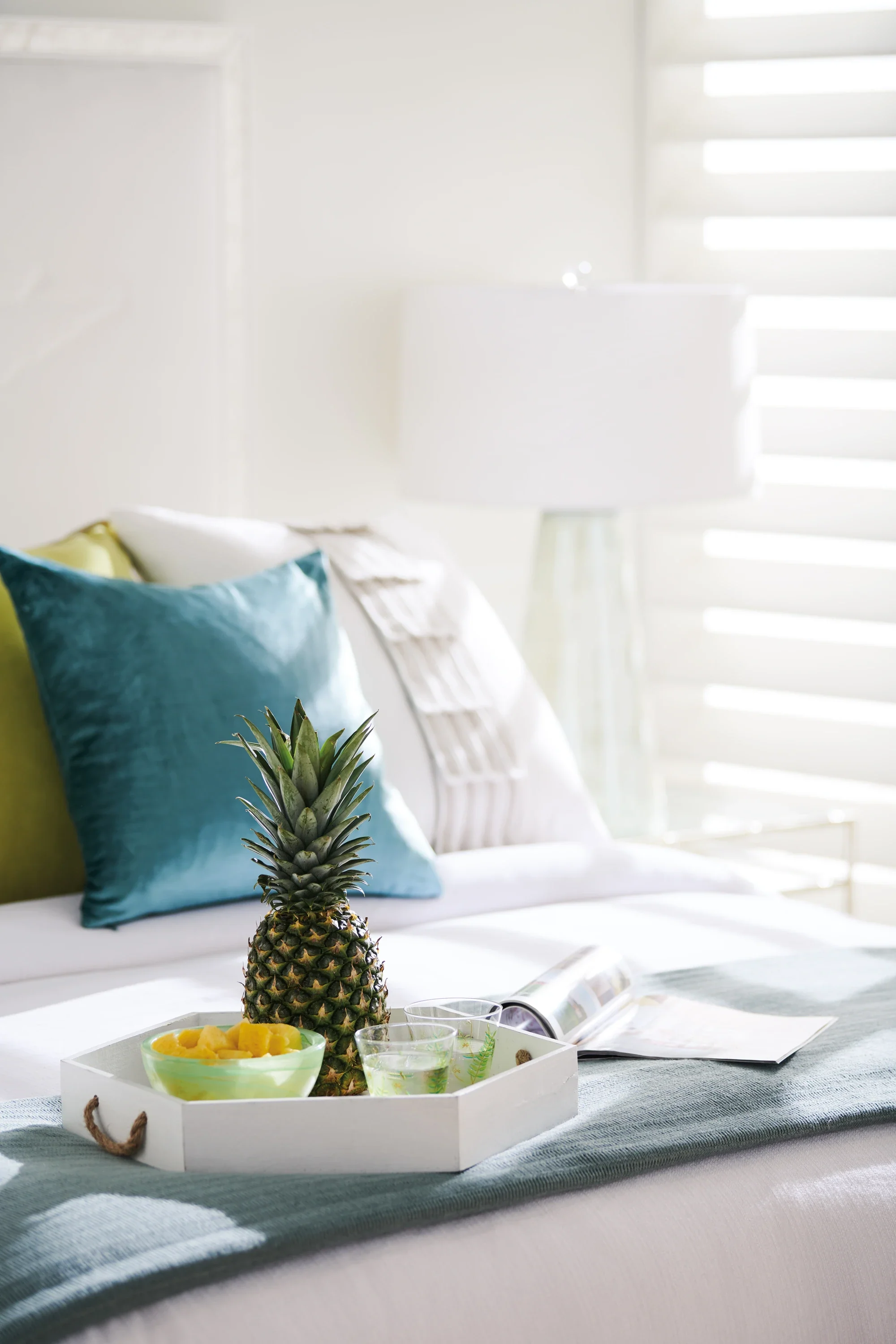 Tropical Dream Kg Fb - Image 7