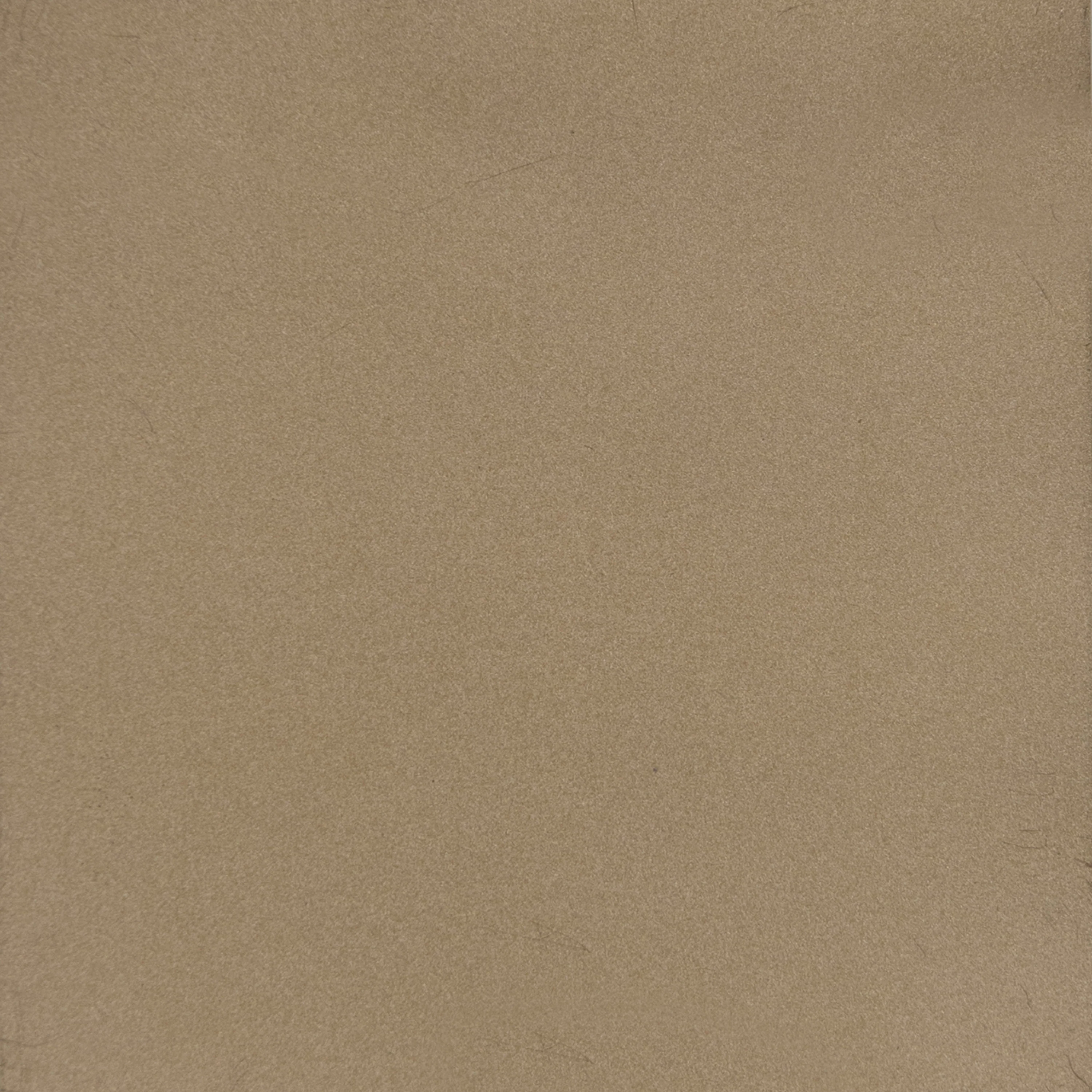 Balance - Image 5