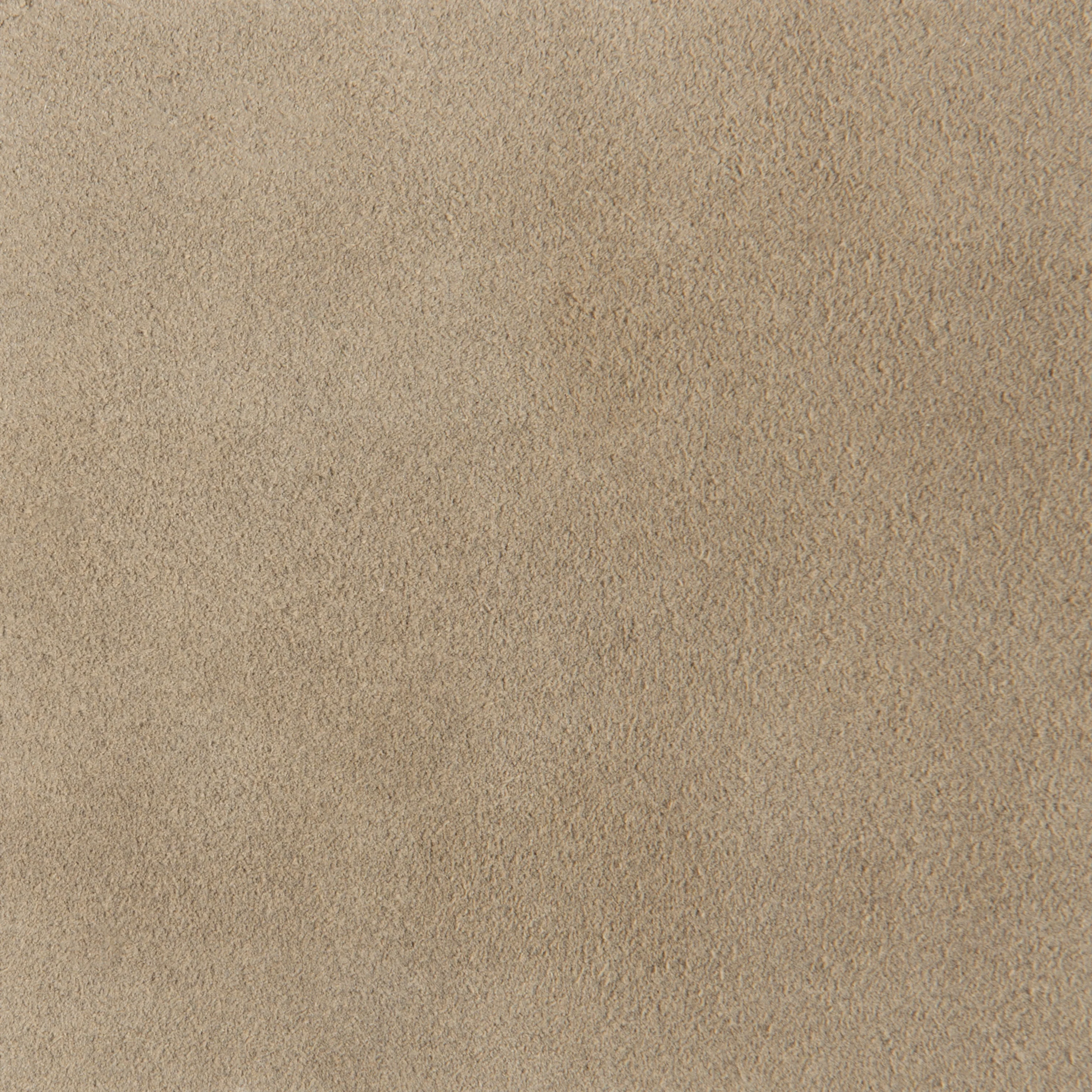 Gus - Image 10