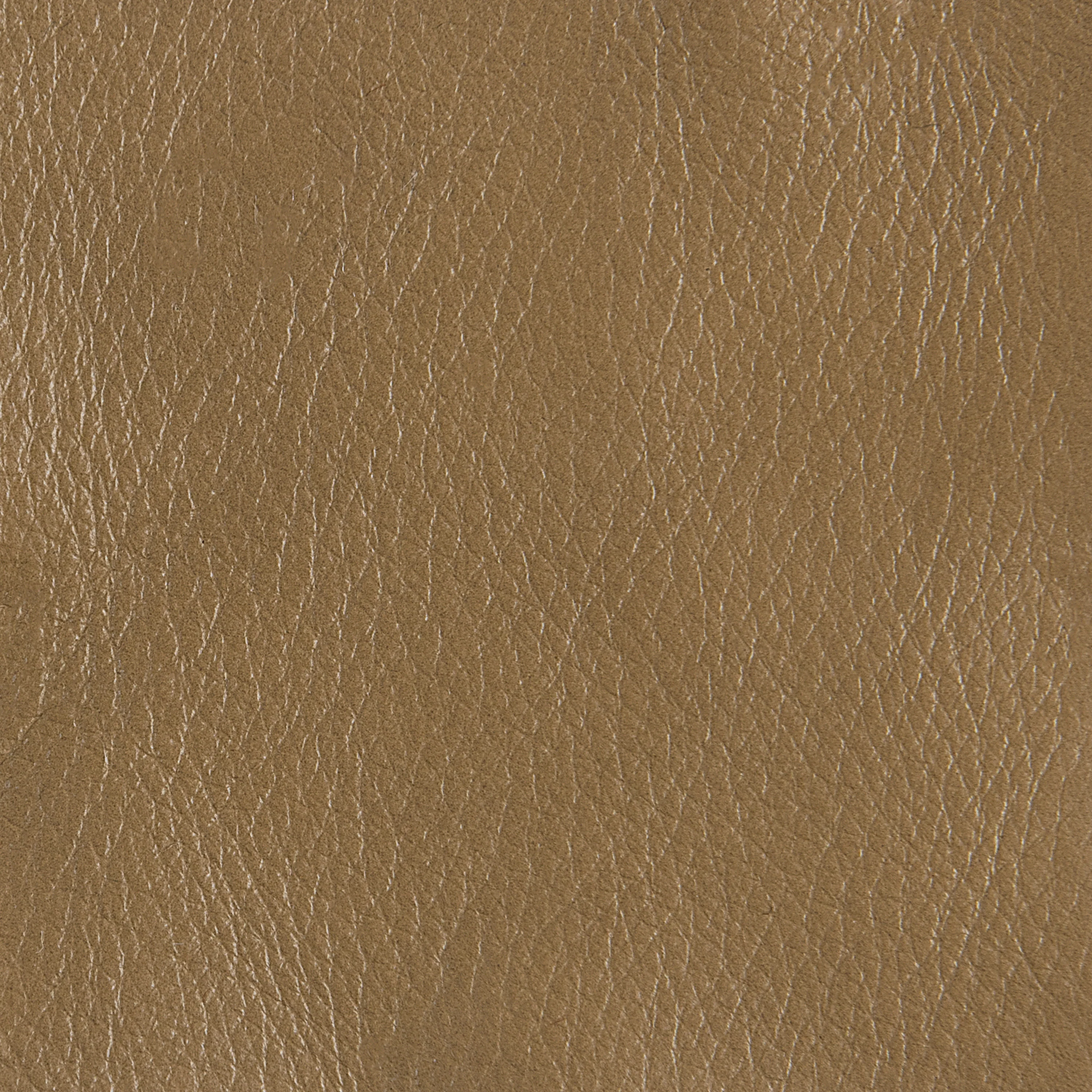 Rebound - Image 7