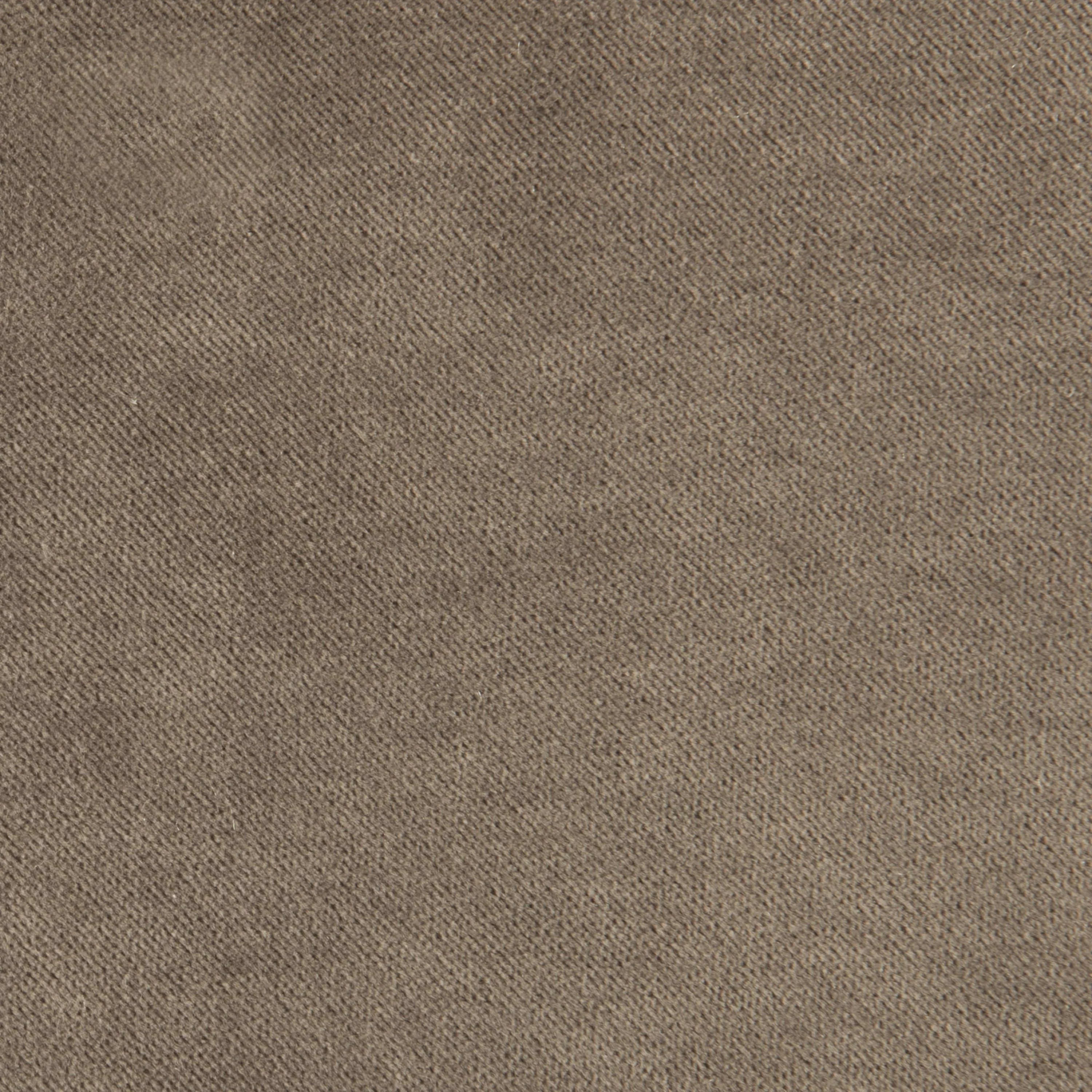 Mantis - Image 9